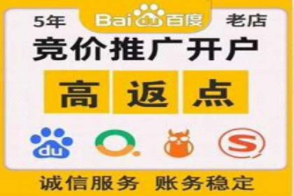 SEM推广实战：成功案例剖析